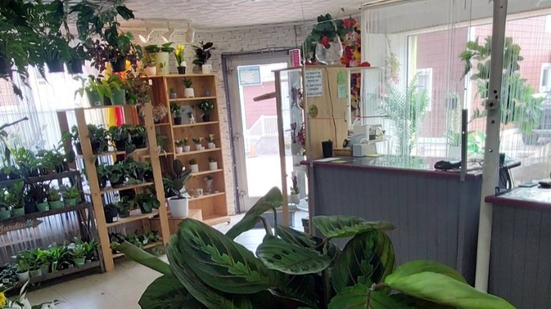   - Entreprise Au Jardin Fleuri à Saint-Pierre-et-Miquelon