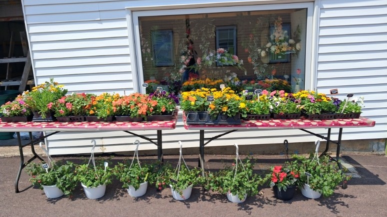   - Entreprise Au Jardin Fleuri à Saint-Pierre-et-Miquelon