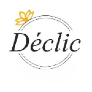 logo Declic - Empresa en Saint-Pierre-et-Miquelon