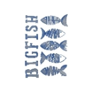 logo BigFish - Empresa en Saint-Pierre-et-Miquelon