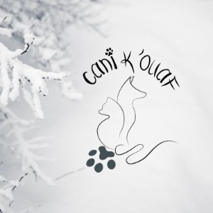 logo Cani K'Ouaf - Empresa en Saint-Pierre-et-Miquelon