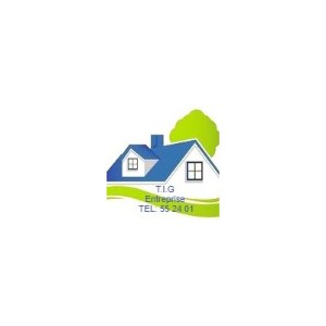 logo T.I.G. - Empresa en Saint-Pierre-et-Miquelon